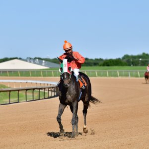 Texas | The Kentucky Derby Day | 3/5/25