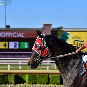 Texas | The Kentucky Derby Day | 3/5/25