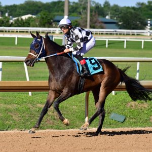 Texas | The Kentucky Derby Day | 3/5/25