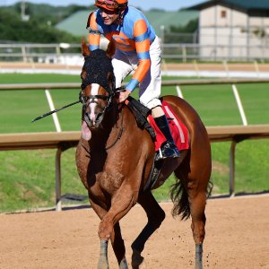 Texas | The Kentucky Derby Day | 3/5/25