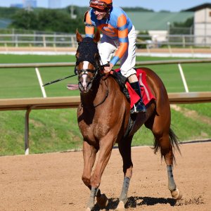 Texas | The Kentucky Derby Day | 3/5/25