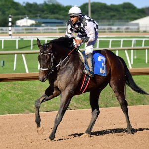 Texas | The Kentucky Derby Day | 3/5/25
