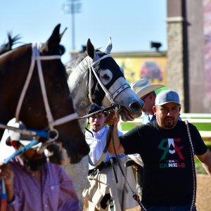 Texas | The Kentucky Derby Day | 3/5/25