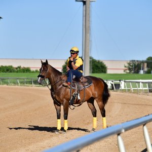 Texas | The Kentucky Derby Day | 3/5/25