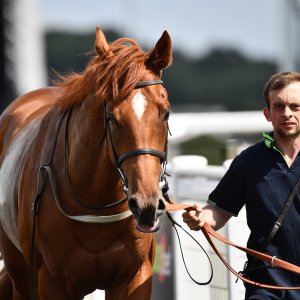 Newcastle | Northumberland Plate Festival | 27, 29/6/24