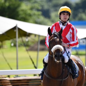 Newcastle | Northumberland Plate Festival | 27, 29/6/24