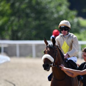 Newcastle | Northumberland Plate Festival | 27, 29/6/24