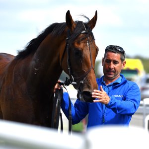 Newcastle | Northumberland Plate Festival | 27, 29/6/24