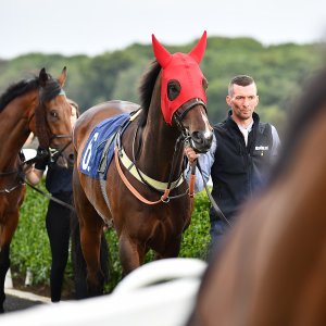 Newcastle | Northumberland Plate Festival | 27, 29/6/24