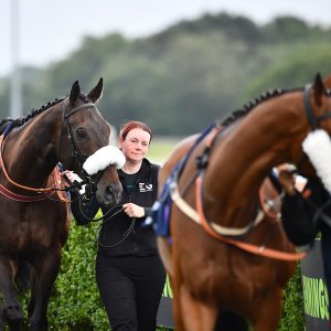 Newcastle | Northumberland Plate Festival | 27, 29/6/24