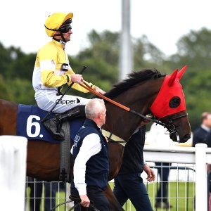 Newcastle | Northumberland Plate Festival | 27, 29/6/24