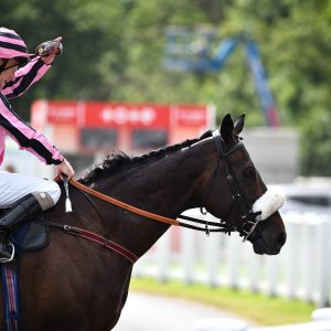 Newcastle | Northumberland Plate Festival | 27, 29/6/24