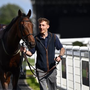 Newcastle | Northumberland Plate Festival | 27, 29/6/24