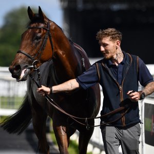 Newcastle | Northumberland Plate Festival | 27, 29/6/24