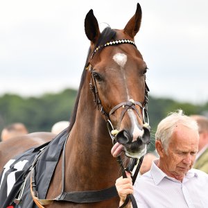 Newcastle | Northumberland Plate Festival | 27, 29/6/24