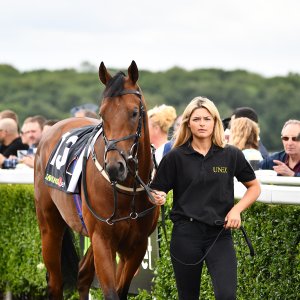 Newcastle | Northumberland Plate Festival | 27, 29/6/24