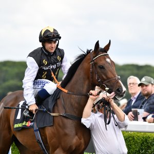 Newcastle | Northumberland Plate Festival | 27, 29/6/24