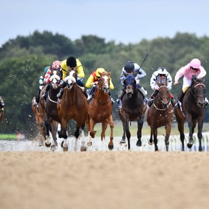 Newcastle | Northumberland Plate Festival | 27, 29/6/24