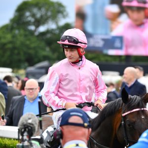 Newcastle | Northumberland Plate Festival | 27, 29/6/24