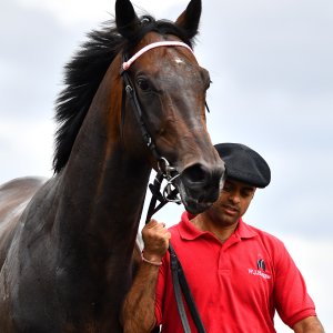 Newcastle | Northumberland Plate Festival | 27, 29/6/24