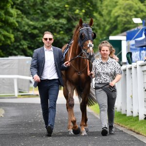 Newcastle | Northumberland Plate Festival | 27, 29/6/24