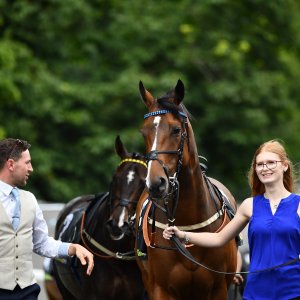 Newcastle | Northumberland Plate Festival | 27, 29/6/24