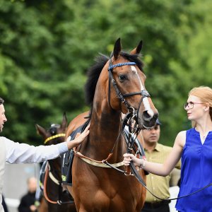 Newcastle | Northumberland Plate Festival | 27, 29/6/24