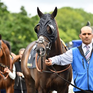 Newcastle | Northumberland Plate Festival | 27, 29/6/24