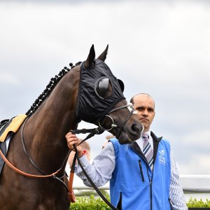 Newcastle | Northumberland Plate Festival | 27, 29/6/24