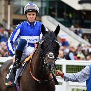 Newcastle | Northumberland Plate Festival | 27, 29/6/24