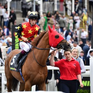 Newcastle | Northumberland Plate Festival | 27, 29/6/24