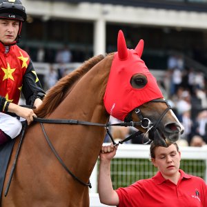 Newcastle | Northumberland Plate Festival | 27, 29/6/24