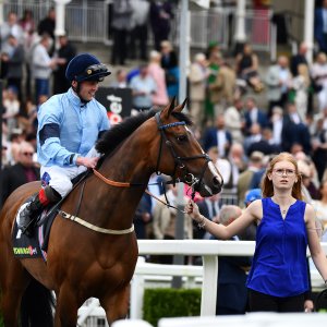 Newcastle | Northumberland Plate Festival | 27, 29/6/24