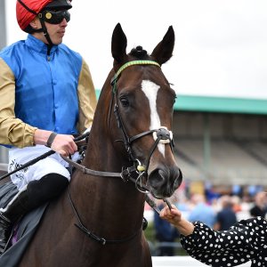 Newcastle | Northumberland Plate Festival | 27, 29/6/24