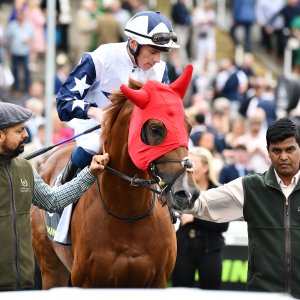 Newcastle | Northumberland Plate Festival | 27, 29/6/24