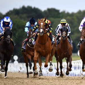 Newcastle | Northumberland Plate Festival | 27, 29/6/24