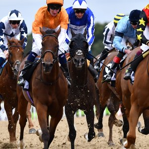 Newcastle | Northumberland Plate Festival | 27, 29/6/24