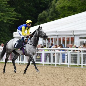 Newcastle | Northumberland Plate Festival | 27, 29/6/24