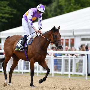 Newcastle | Northumberland Plate Festival | 27, 29/6/24