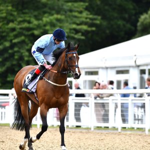 Newcastle | Northumberland Plate Festival | 27, 29/6/24