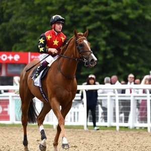 Newcastle | Northumberland Plate Festival | 27, 29/6/24