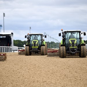 Newcastle | Northumberland Plate Festival | 27, 29/6/24