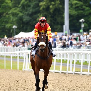 Newcastle | Northumberland Plate Festival | 27, 29/6/24