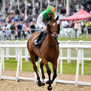 Newcastle | Northumberland Plate Festival | 27, 29/6/24