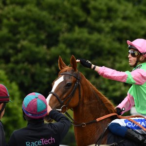 Newcastle | Northumberland Plate Festival | 27, 29/6/24