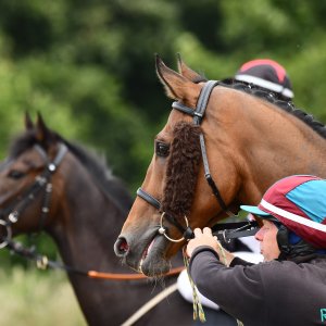 Newcastle | Northumberland Plate Festival | 27, 29/6/24