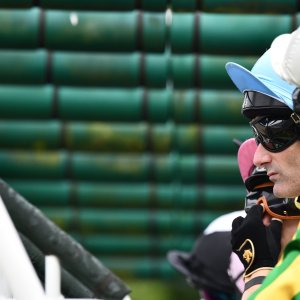 Newcastle | Northumberland Plate Festival | 27, 29/6/24