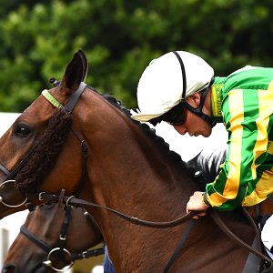 Newcastle | Northumberland Plate Festival | 27, 29/6/24