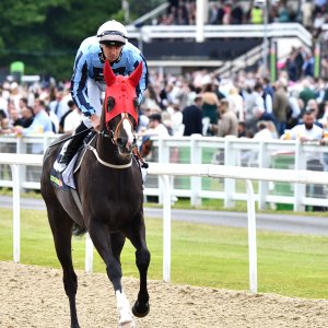 Newcastle | Northumberland Plate Festival | 27, 29/6/24