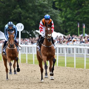 Newcastle | Northumberland Plate Festival | 27, 29/6/24